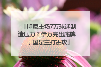 印尼主场7万球迷制造压力？伊万亮出底牌，国足主打进攻