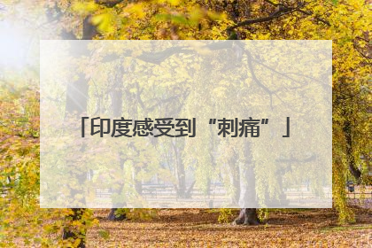 印度感受到“刺痛”