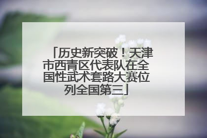 历史新突破！天津市西青区代表队在全国性武术套路大赛位列全国第三