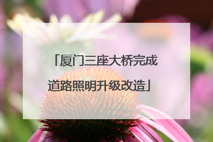 厦门三座大桥完成道路照明升级改造