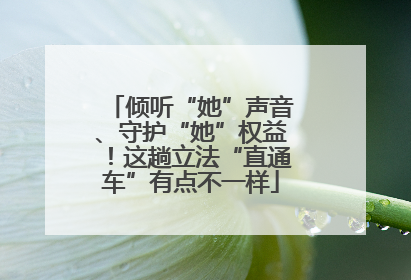 倾听“她”声音、守护“她”权益！这趟立法“直通车”有点不一样