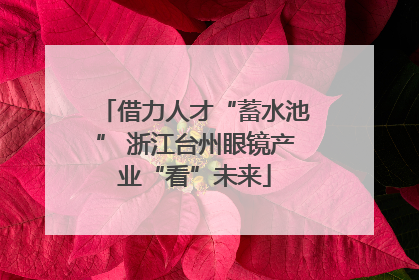 借力人才“蓄水池” 浙江台州眼镜产业“看”未来