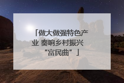 做大做强特色产业 奏响乡村振兴“富民曲”