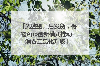 先鉴别、后发货，得物App创新模式推动消费正品化升级