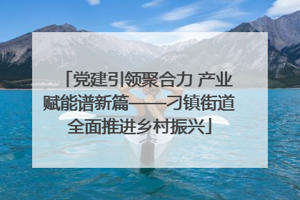 党建引领聚合力 产业赋能谱新篇——刁镇街道全面推进乡村振兴