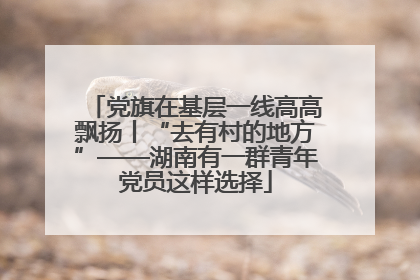 党旗在基层一线高高飘扬丨“去有村的地方”——湖南有一群青年党员这样选择