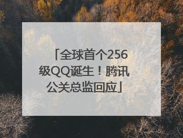 全球首个256级QQ诞生！腾讯公关总监回应