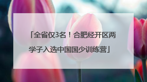 全省仅3名！合肥经开区两学子入选中国国少训练营