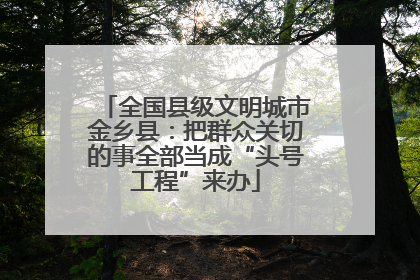 全国县级文明城市金乡县：把群众关切的事全部当成“头号工程”来办