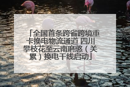 全国首条跨省跨境重卡换电物流通道 四川攀枝花至云南磨憨（关累）换电干线启动