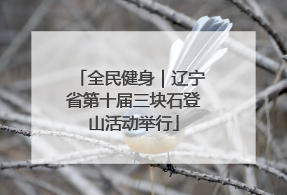 全民健身｜辽宁省第十届三块石登山活动举行