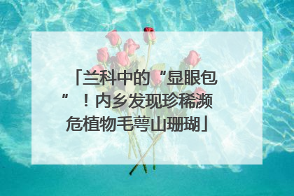兰科中的“显眼包”！内乡发现珍稀濒危植物毛萼山珊瑚