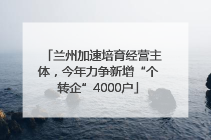 兰州加速培育经营主体，今年力争新增“个转企”4000户