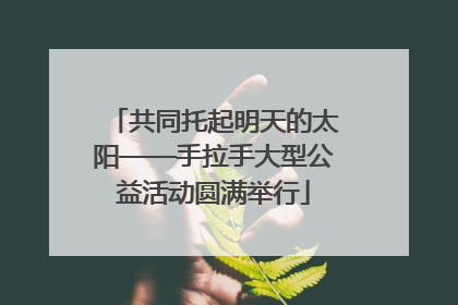 共同托起明天的太阳——手拉手大型公益活动圆满举行