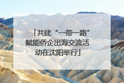 共建“一带一路”赋能侨企出海交流活动在沈阳举行