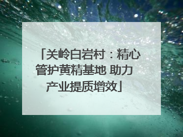 关岭白岩村：精心管护黄精基地 助力产业提质增效