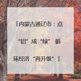 内蒙古通辽市：点“铝”成“绿” 循环经济“再升级”