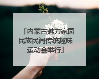 内蒙古魅力家园民族民间传统趣味运动会举行