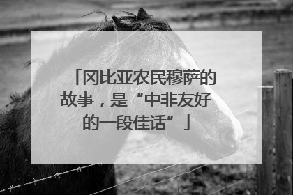 冈比亚农民穆萨的故事，是“中非友好的一段佳话”