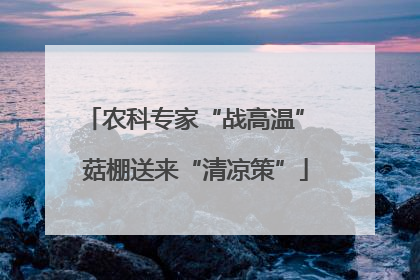 农科专家“战高温” 菇棚送来“清凉策”