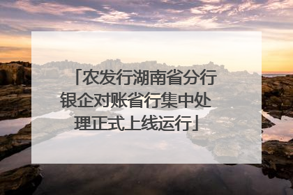 农发行湖南省分行银企对账省行集中处理正式上线运行