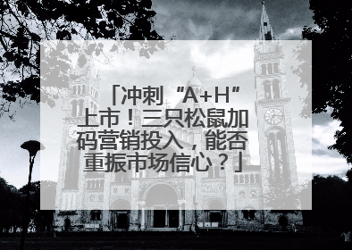 冲刺“A+H”上市！三只松鼠加码营销投入，能否重振市场信心？