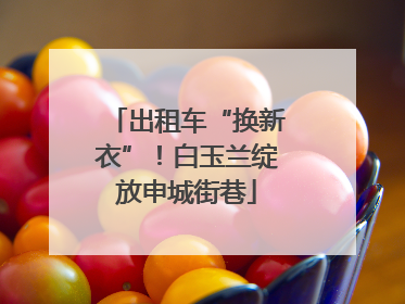 出租车“换新衣”！白玉兰绽放申城街巷