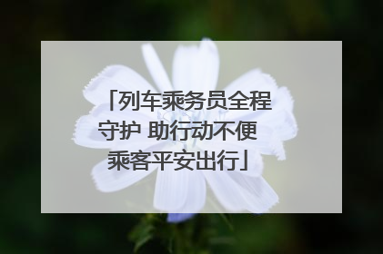 列车乘务员全程守护 助行动不便乘客平安出行