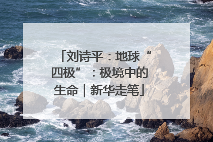 刘诗平：地球“四极”：极境中的生命｜新华走笔
