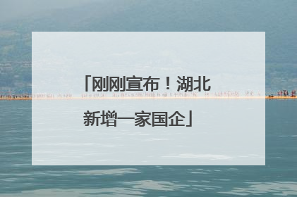 刚刚宣布！湖北新增一家国企