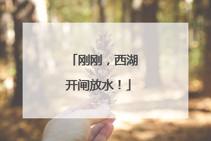 刚刚，西湖开闸放水！