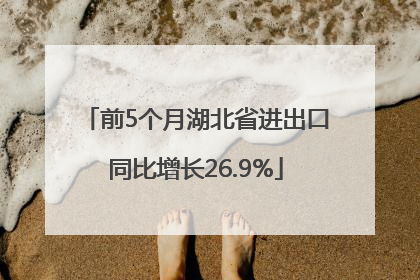 前5个月湖北省进出口同比增长26.9%