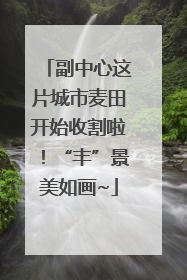 副中心这片城市麦田开始收割啦！“丰”景美如画~