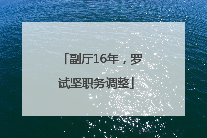 副厅16年，罗试坚职务调整