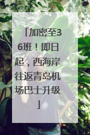 加密至36班！即日起，西海岸往返青岛机场巴士升级