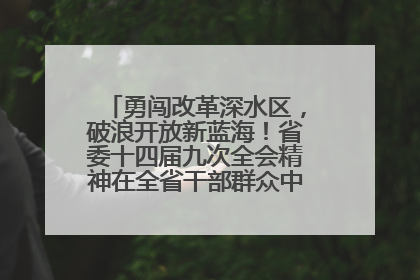 勇闯改革深水区，破浪开放新蓝海！省委十四届九次全会精神在全省干部群众中引发热烈反响