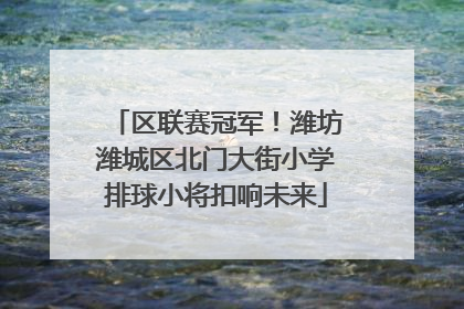 区联赛冠军！潍坊潍城区北门大街小学排球小将扣响未来