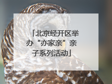 北京经开区举办“亦家亲”亲子系列活动