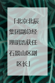 北京北辰集团副总经理胡浩获任石景山区副区长