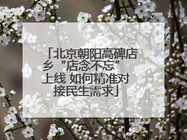 北京朝阳高碑店乡“店念不忘” 上线 如何精准对接民生需求