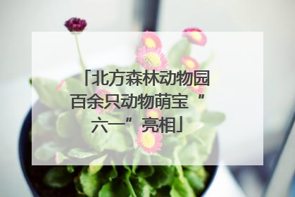 北方森林动物园百余只动物萌宝“六一”亮相
