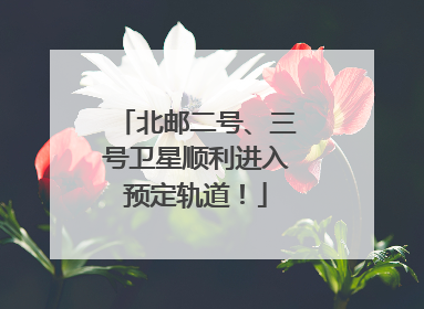 北邮二号、三号卫星顺利进入预定轨道！