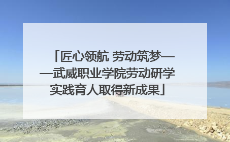 匠心领航 劳动筑梦——武威职业学院劳动研学实践育人取得新成果