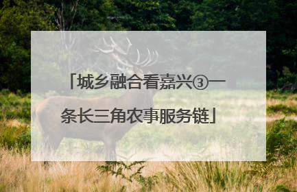 城乡融合看嘉兴③一条长三角农事服务链