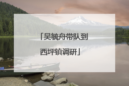 吴毓舟带队到西坪镇调研