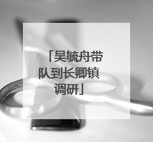 吴毓舟带队到长卿镇调研