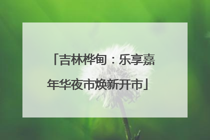 吉林桦甸：乐享嘉年华夜市焕新开市