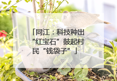 同江：科技种出“红宝石”鼓起村民“钱袋子”