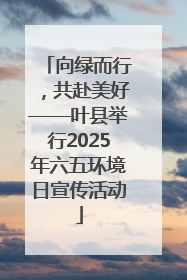 向绿而行，共赴美好——叶县举行2025年六五环境日宣传活动