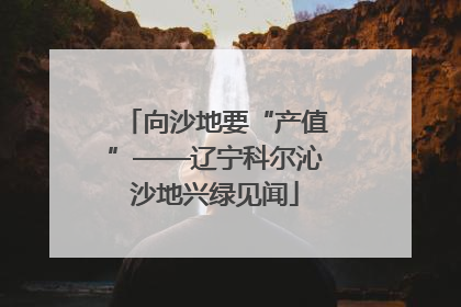 向沙地要“产值”——辽宁科尔沁沙地兴绿见闻